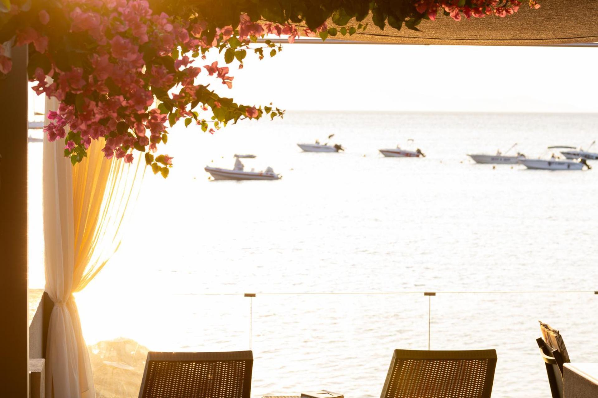 Buganvilla-Sea Front Villas Agia Pelagia Eksteriør billede