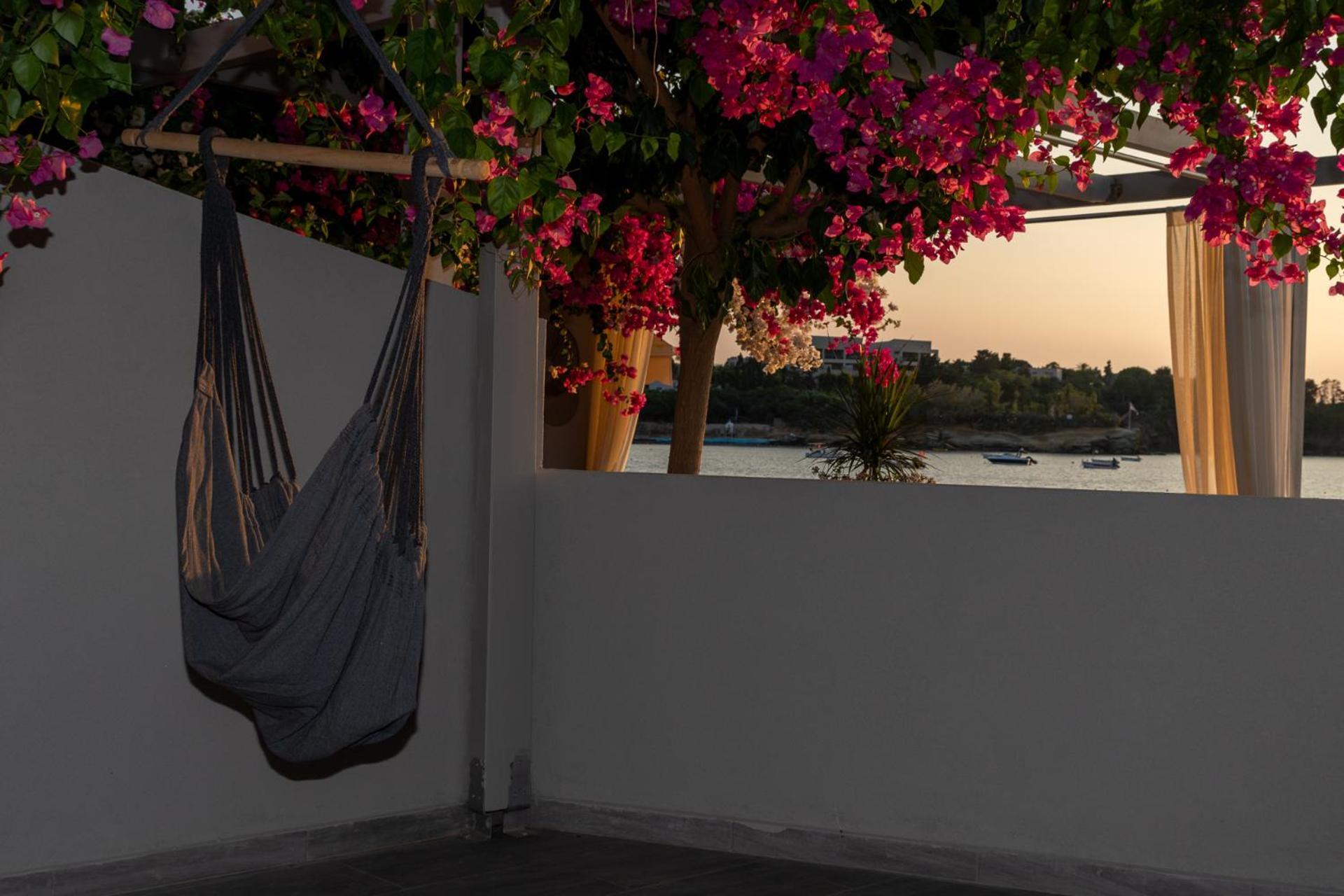 Buganvilla-Sea Front Villas Agia Pelagia Eksteriør billede