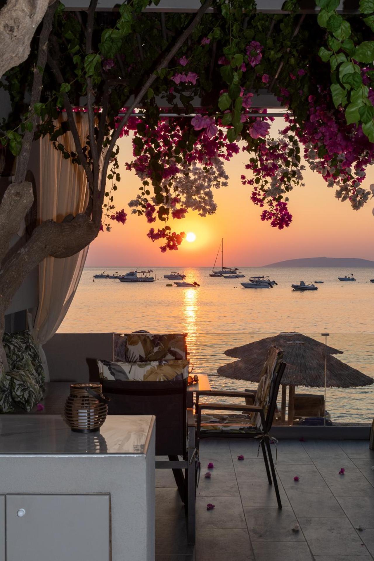 Buganvilla-Sea Front Villas Agia Pelagia Eksteriør billede